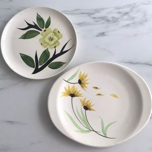 Hand painted plate and platter by Dixie Dogwood